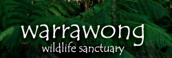 Warrawong Wildlife Park - Attractions