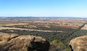 Basin Gully to Eualdrie lookout track - Attractions